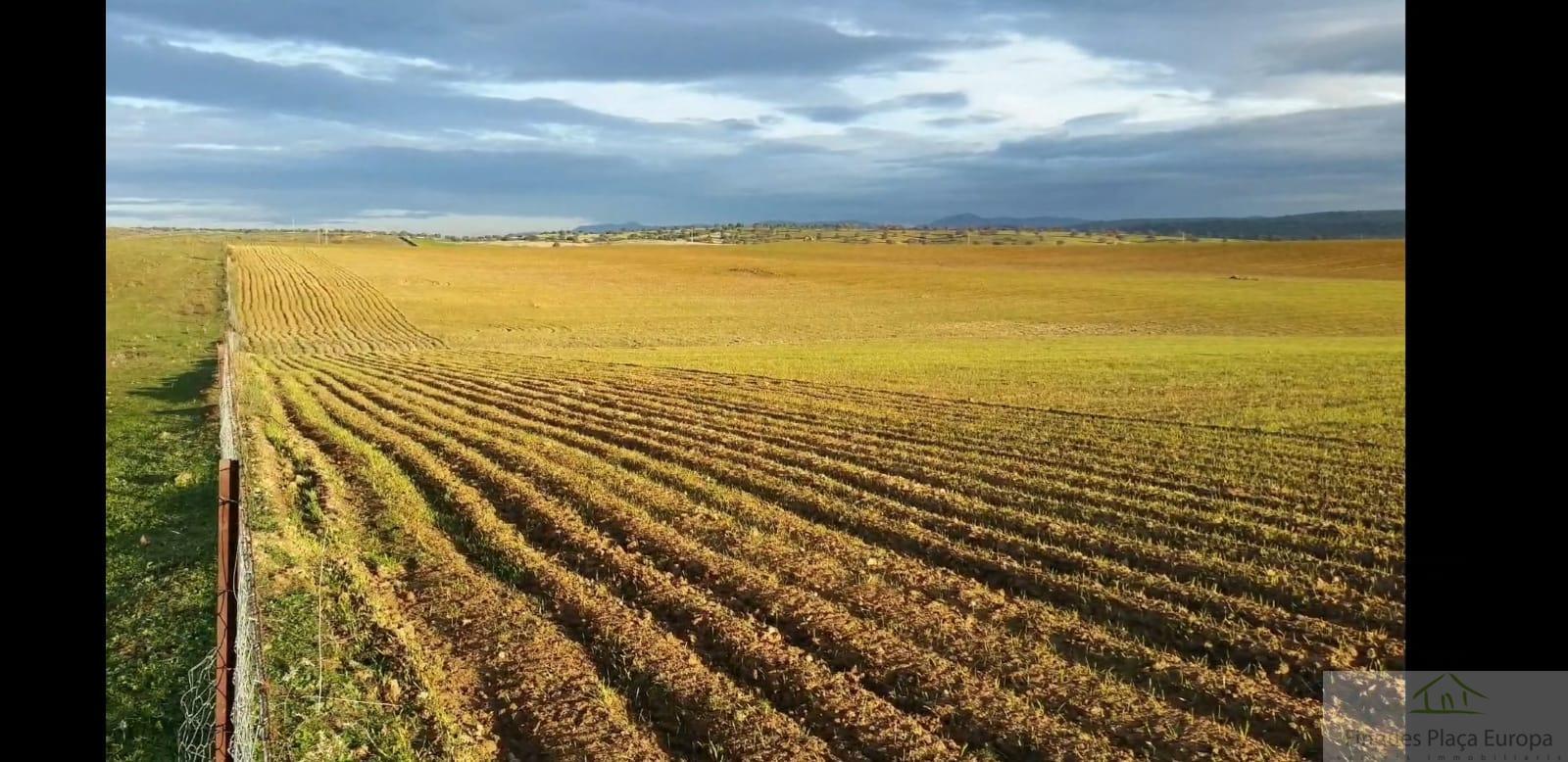 Продажа от

 Земельные участки на Ribera del Fresno
