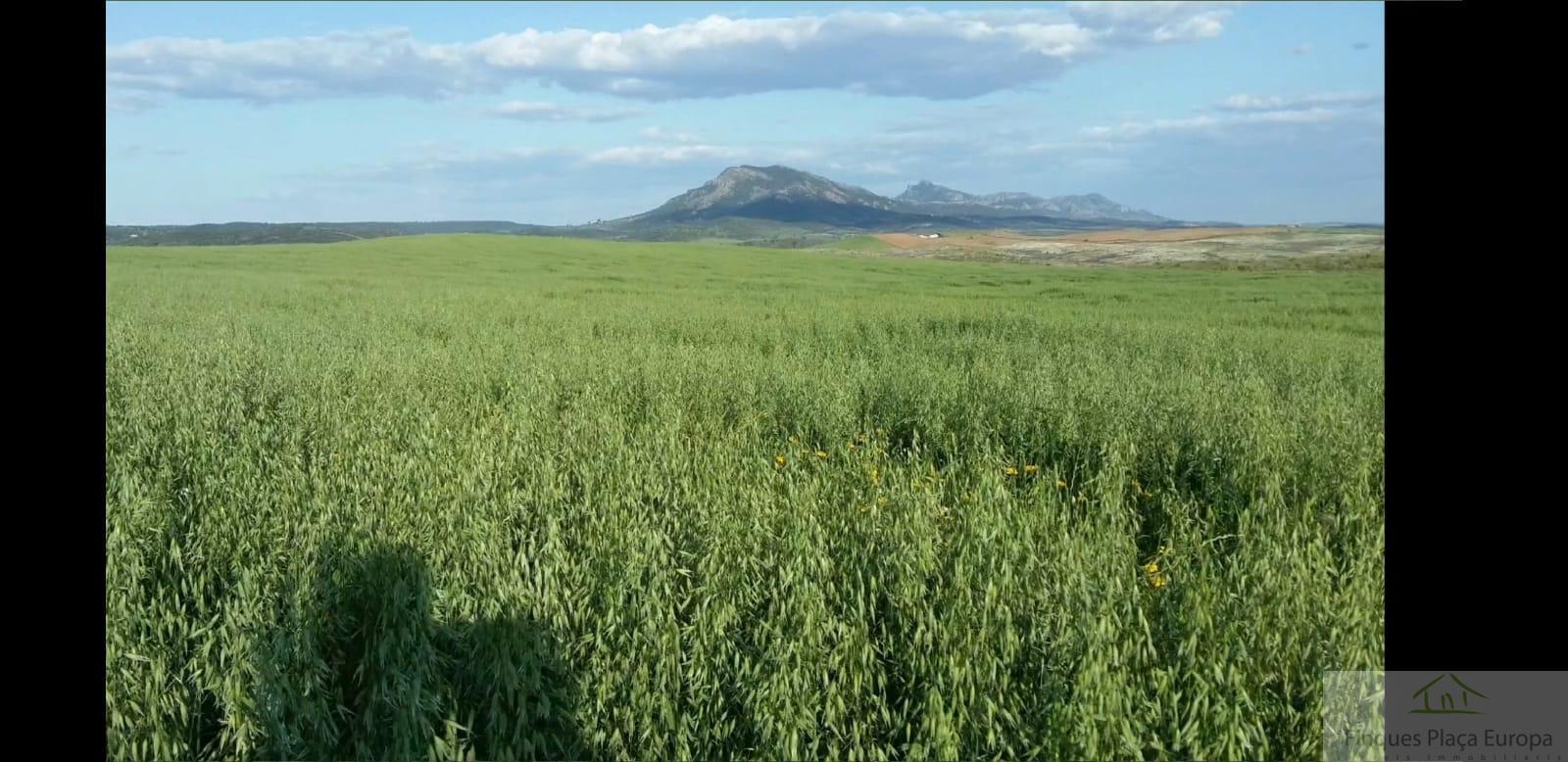 Продажа от

 Земельные участки на Ribera del Fresno