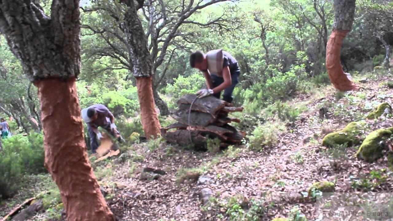 Venda de terreny a Cáceres