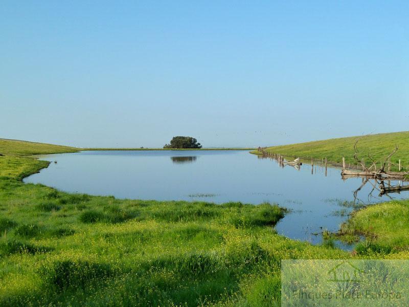 Venda de terreny a Cáceres