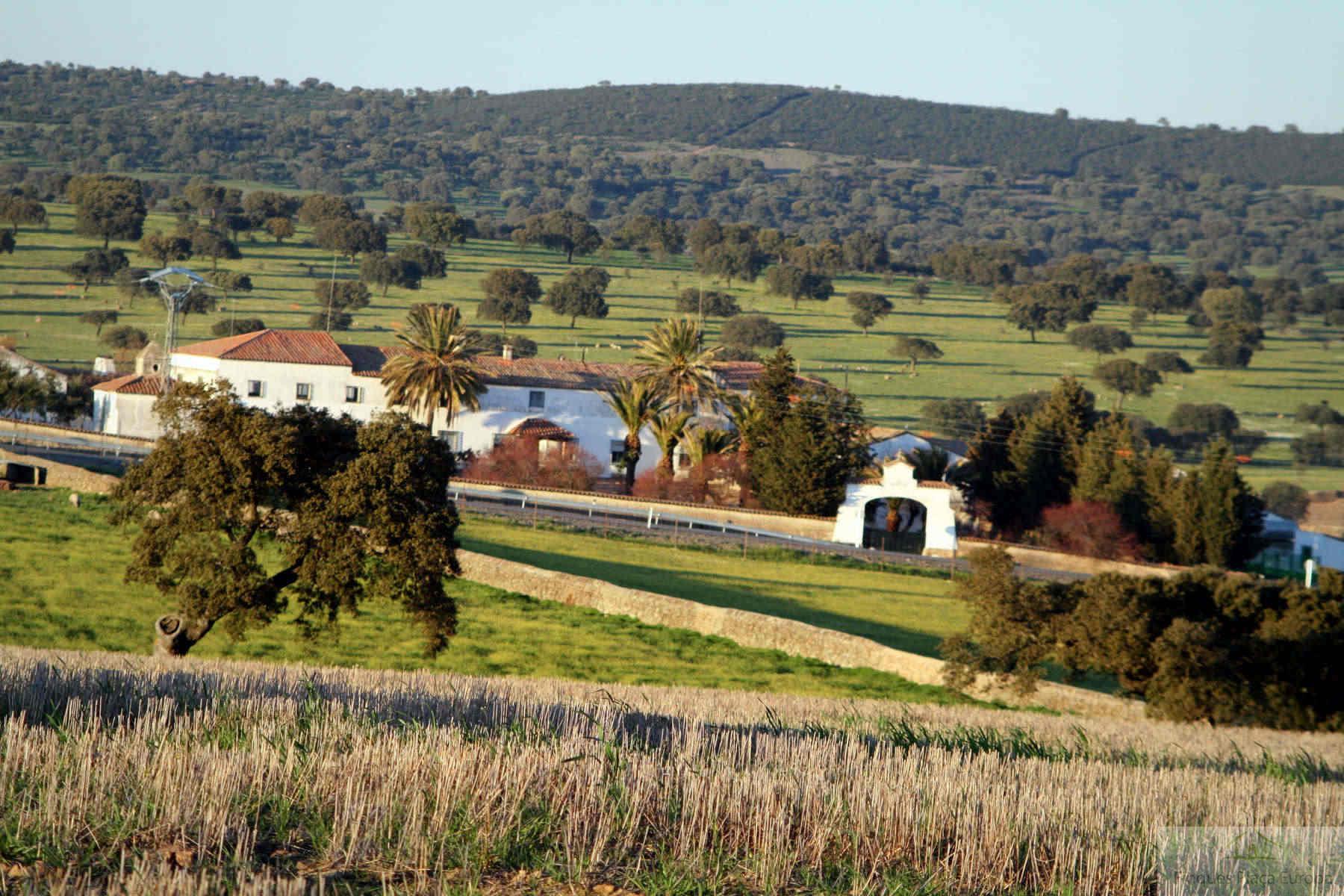 Venda de terreny a Cáceres