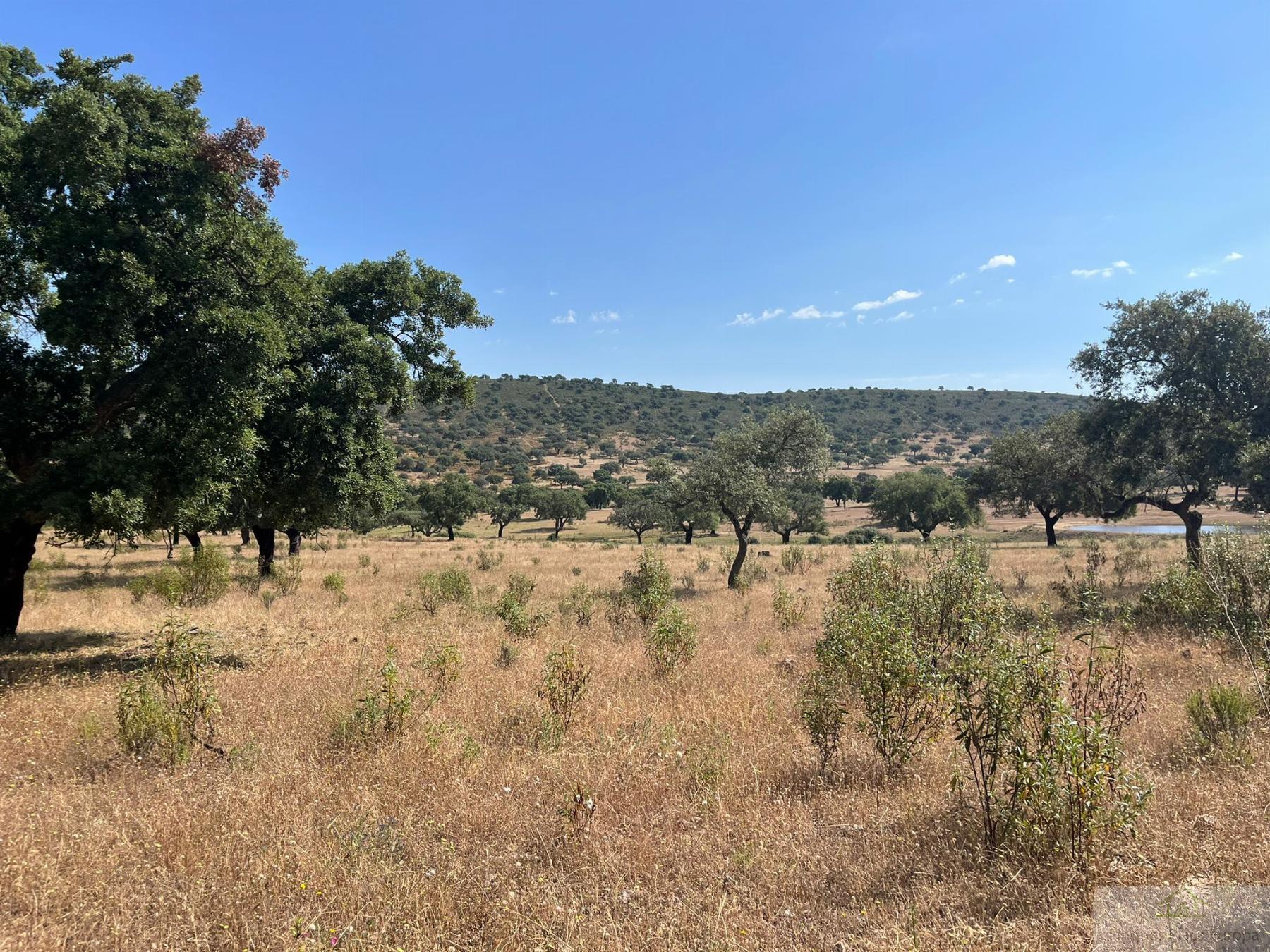 Venta de terreno en Cáceres