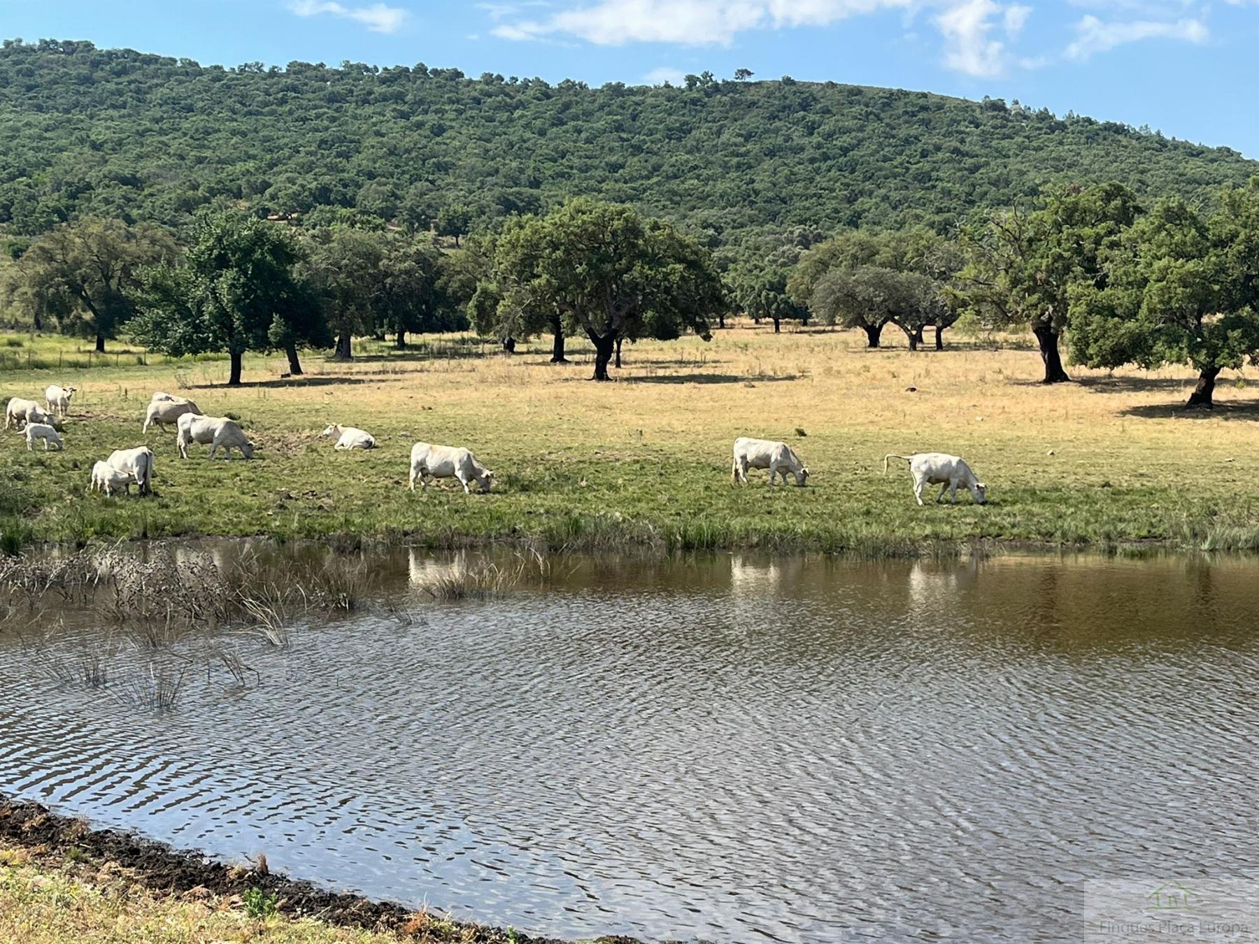 Venta de terreno en Cáceres