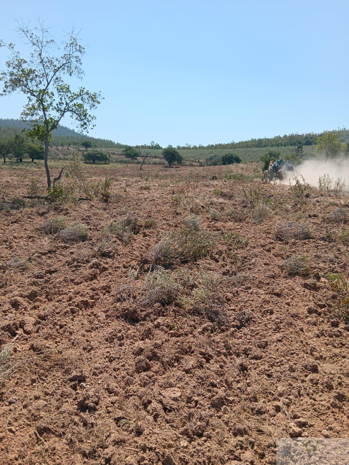 Venta de terreno en Cáceres