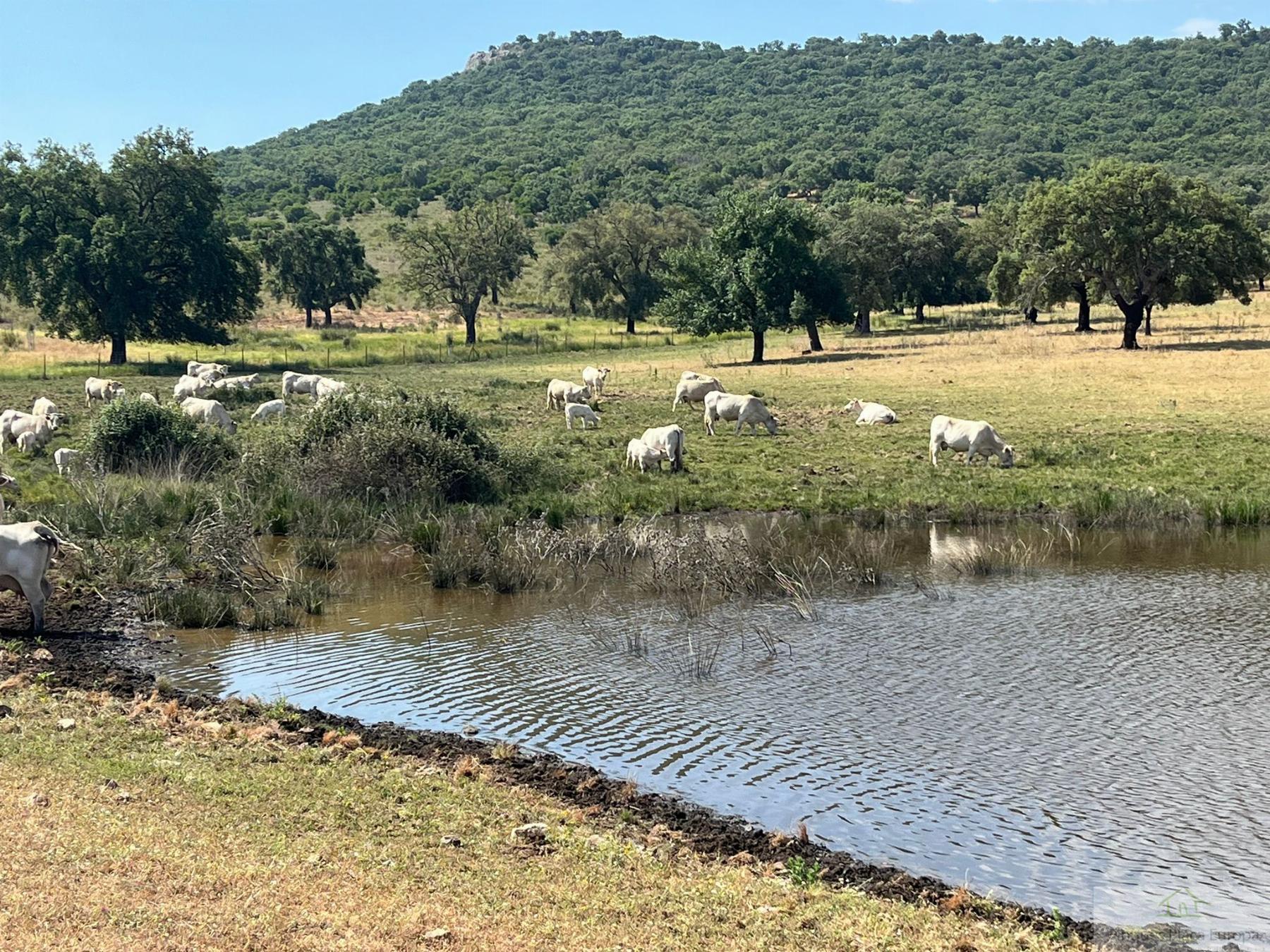 Venta de terreno en Cáceres