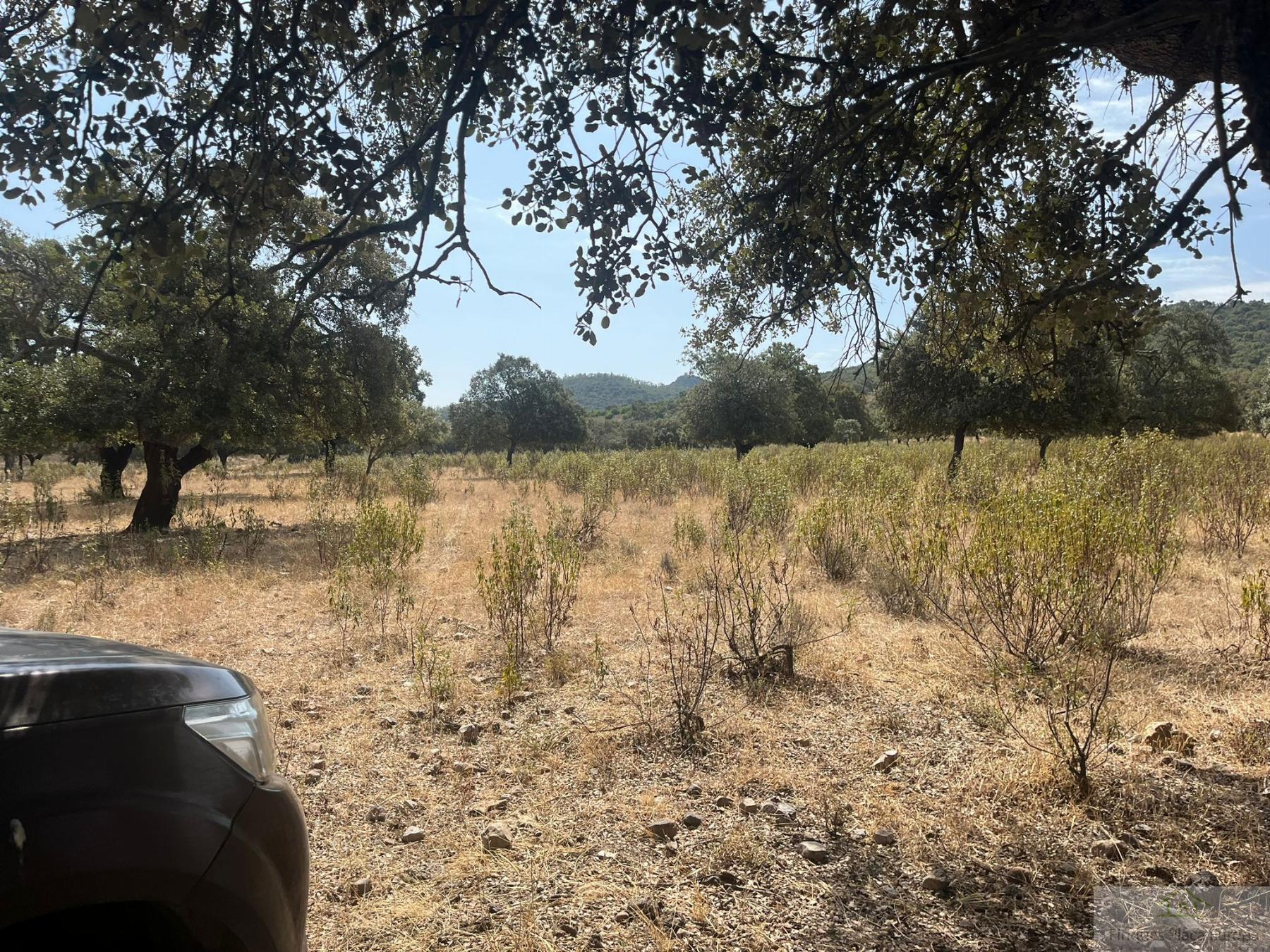 Venta de terreno en Cáceres