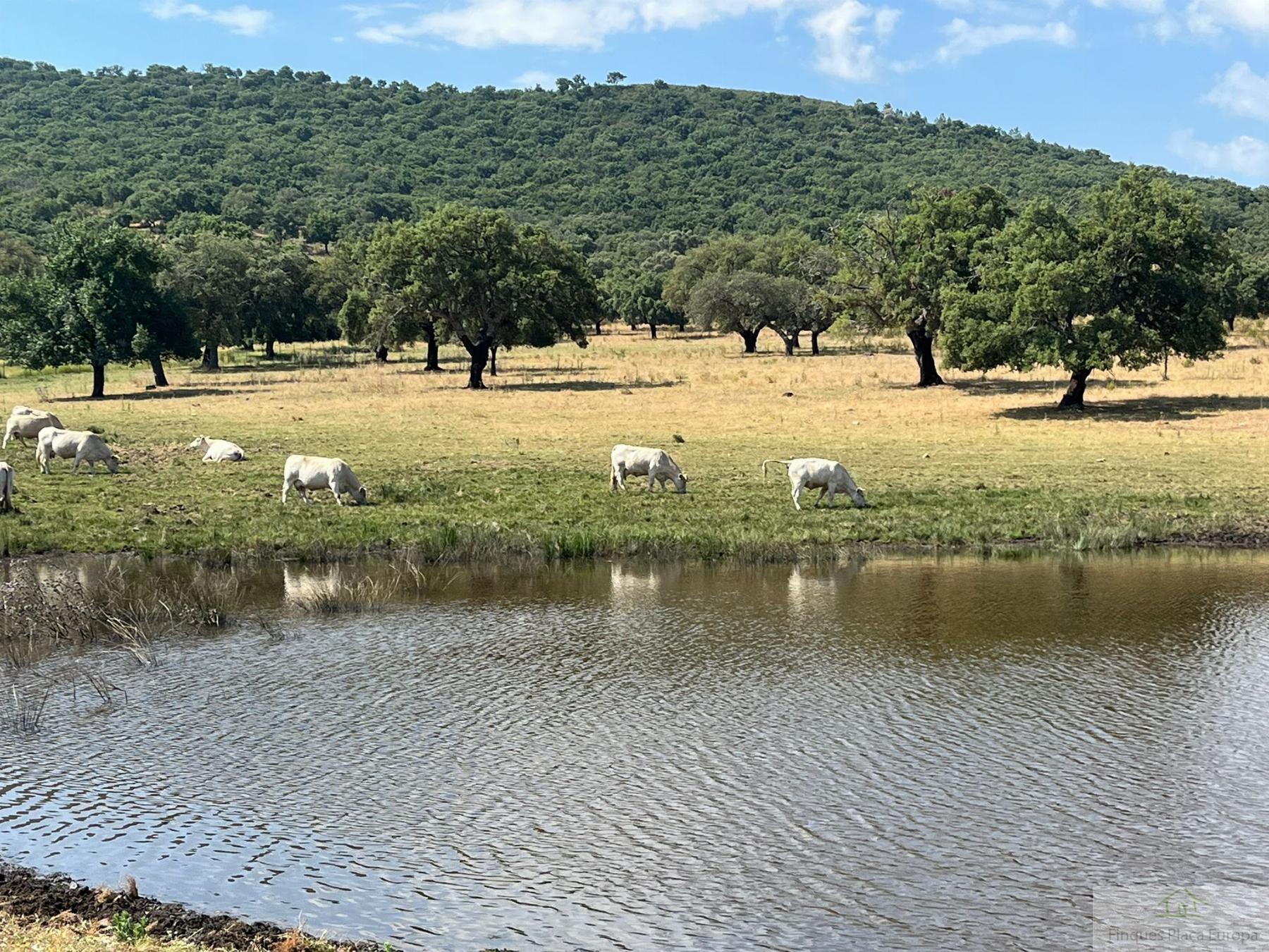 Venta de terreno en Cáceres