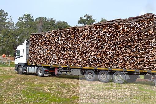 Venta de terreno en Cáceres