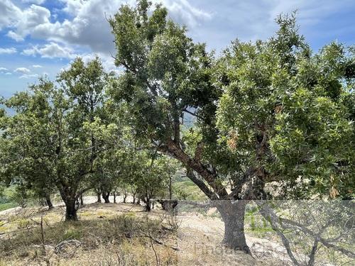Venta de terreno en Cáceres