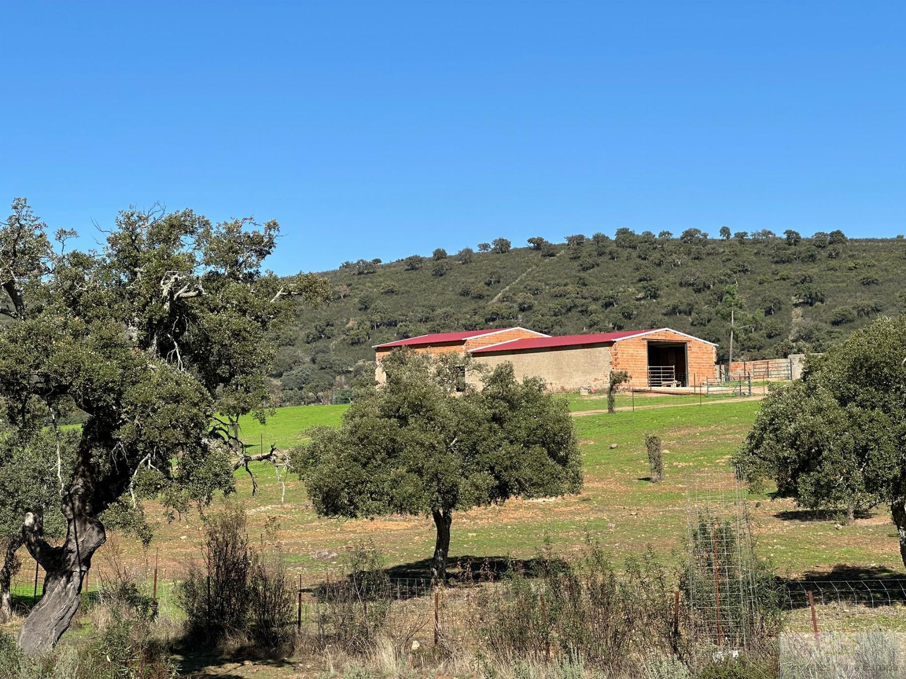 Venta de terreno en Cáceres