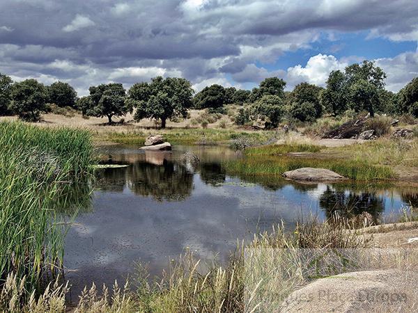 Venta de terreno en Plasencia