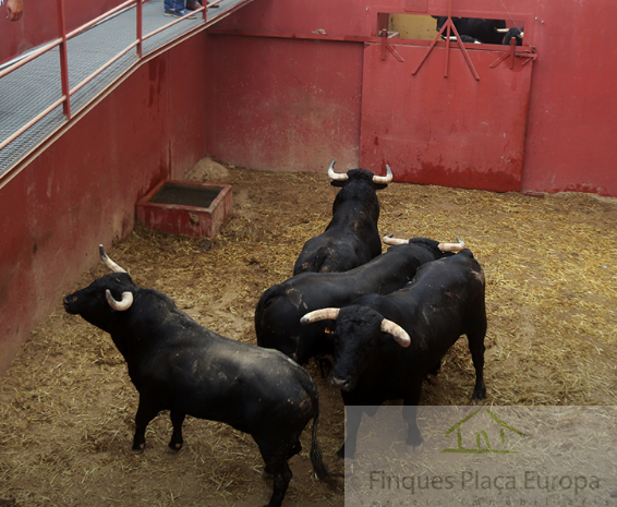 Venta de terreno en Plasencia