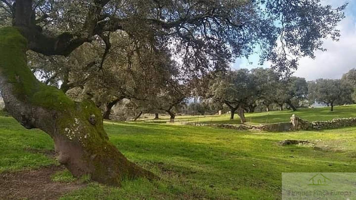 Venta de terreno en Carbajo