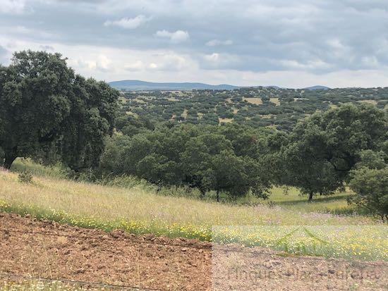 Venta de terreno en Carbajo