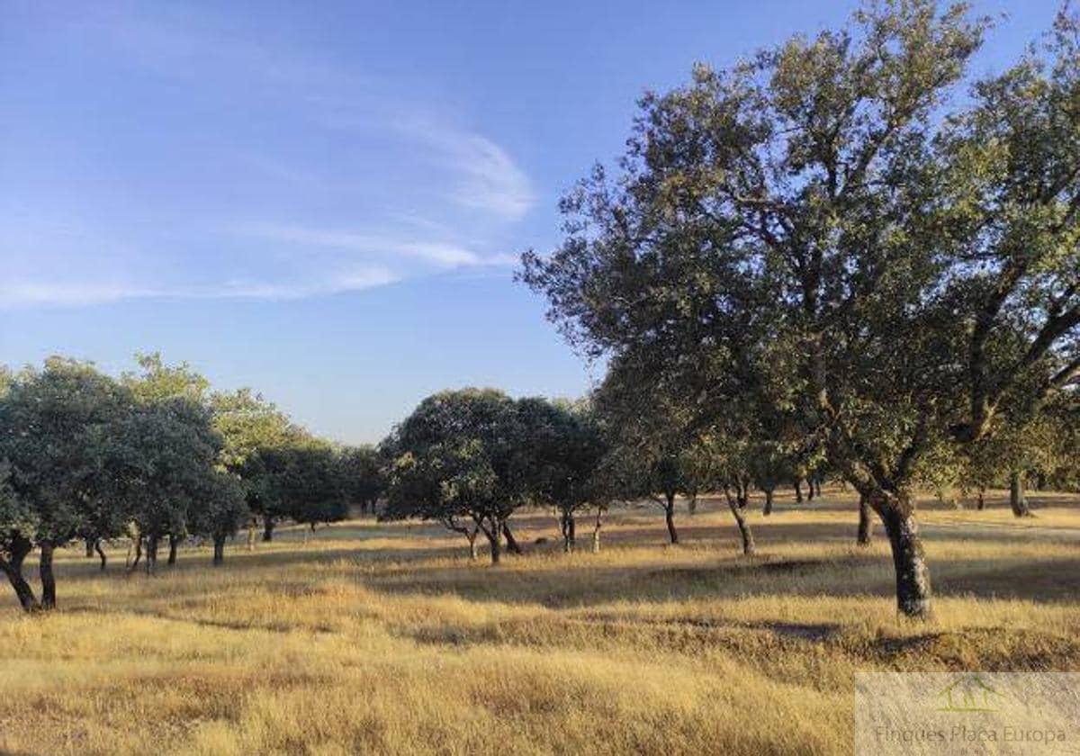 Venta de terreno en Carbajo