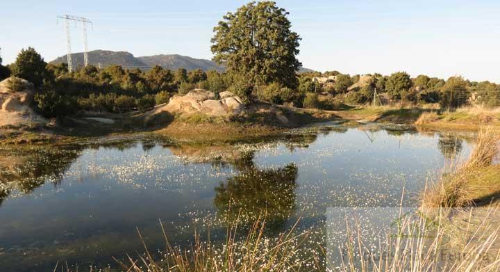 Venta de terreno en Carbajo