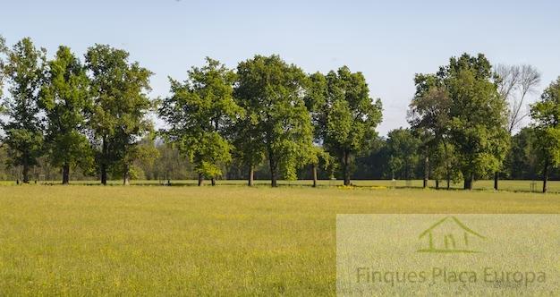 For sale of land in Algueirão-Mem Martins