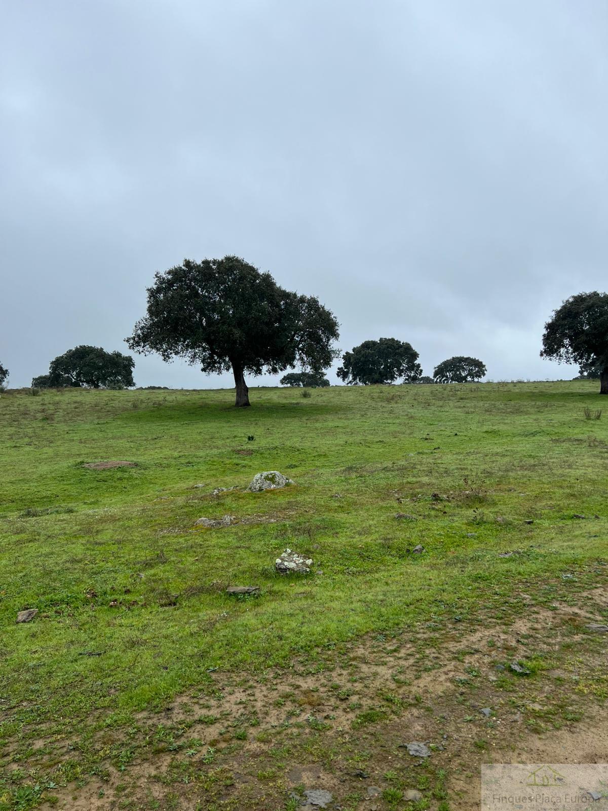 Vente de terrain dans Zorita