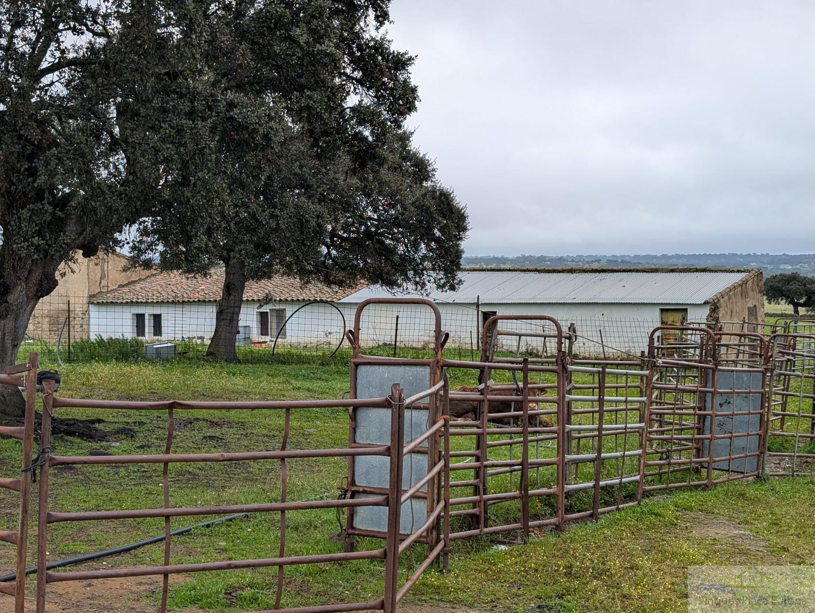 Vente de terrain dans Zorita