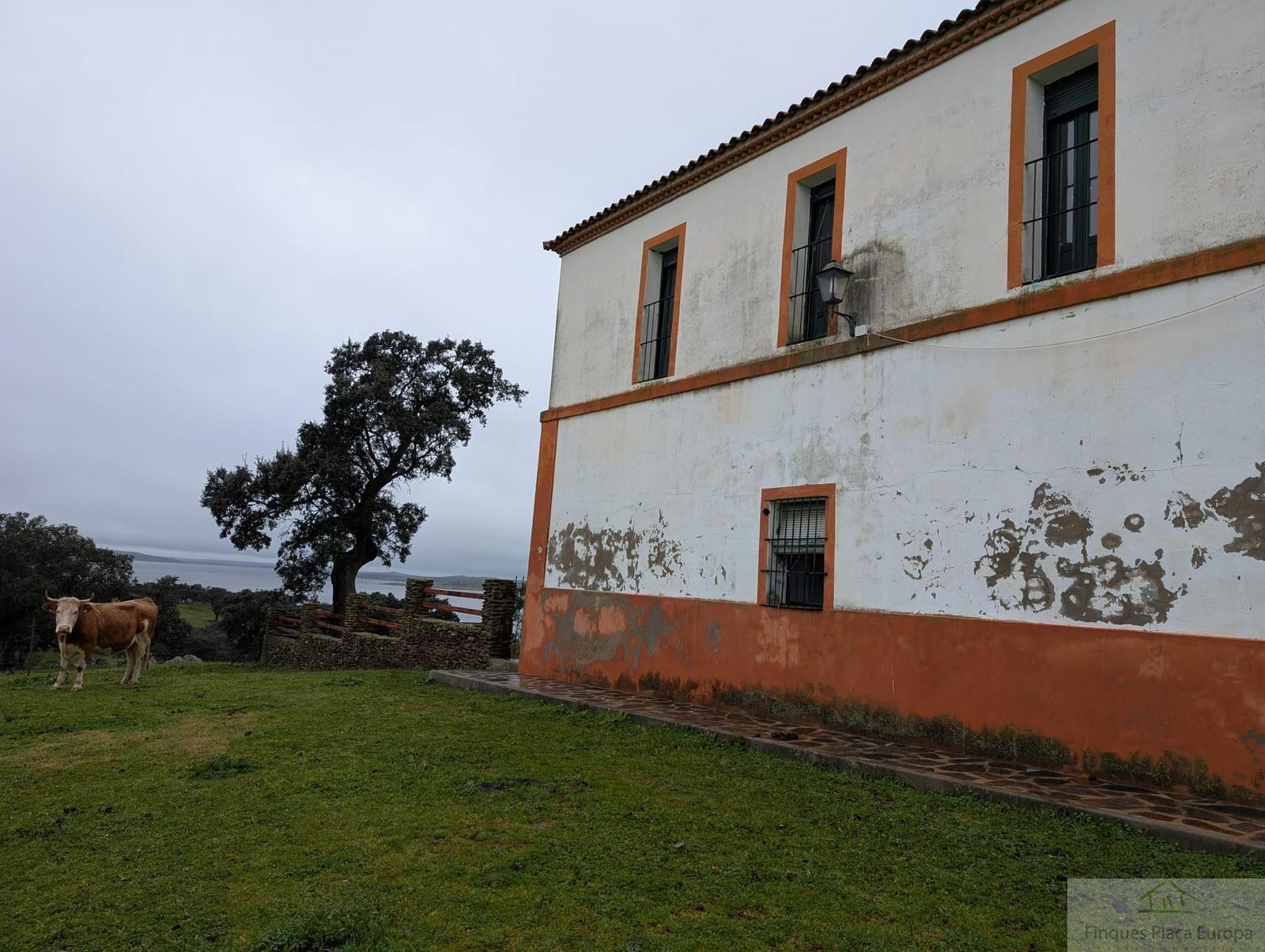Vente de terrain dans Zorita