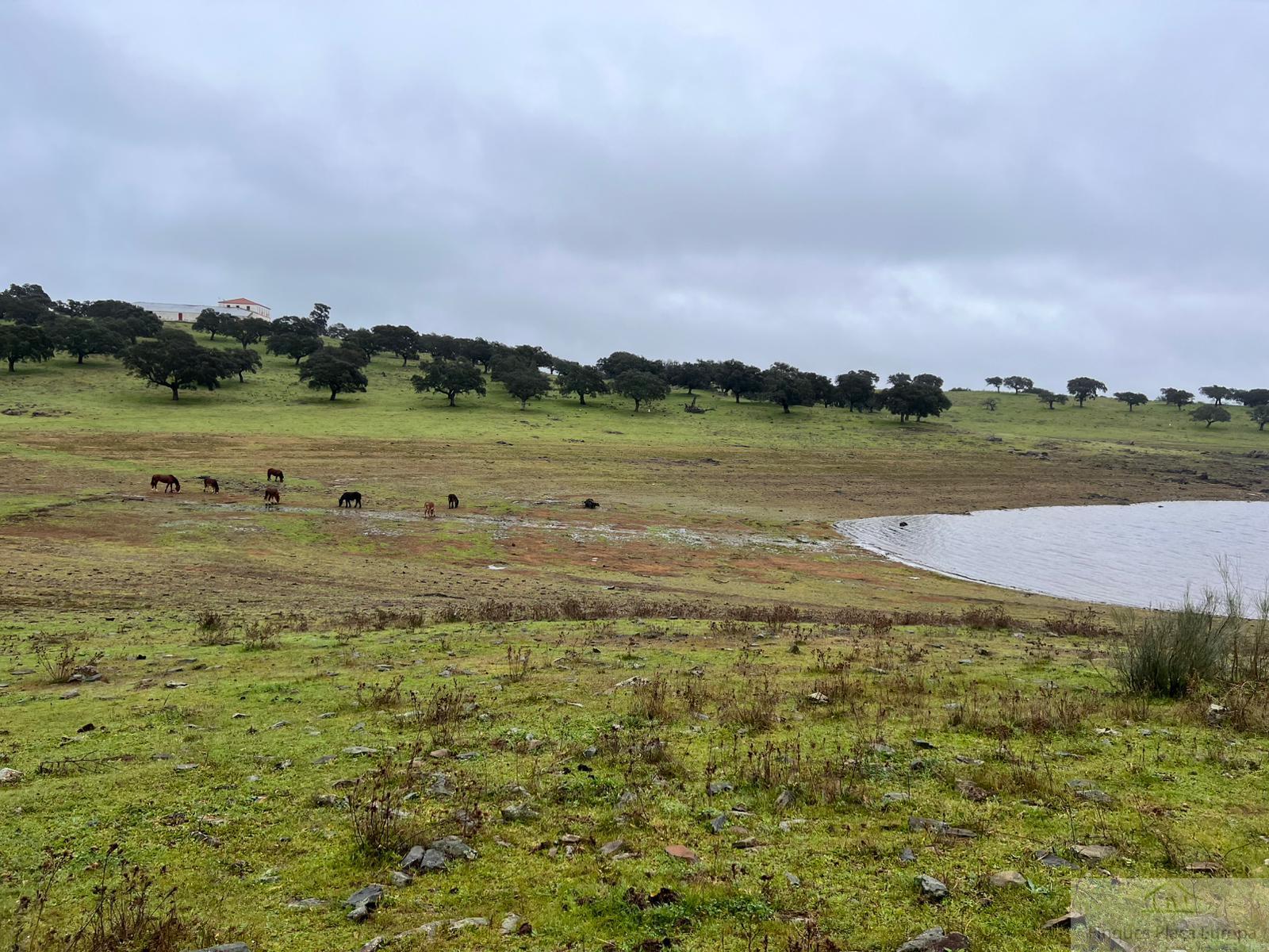 Vente de terrain dans Zorita