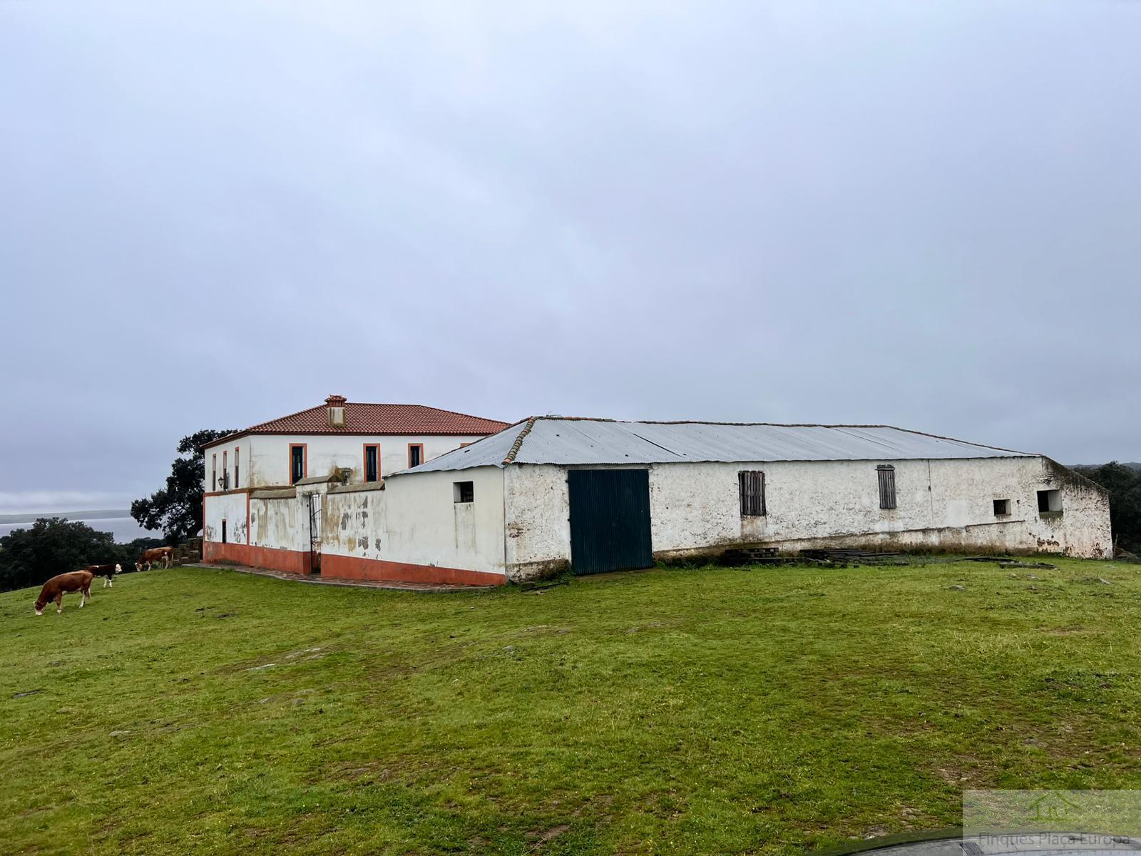 Vente de terrain dans Zorita