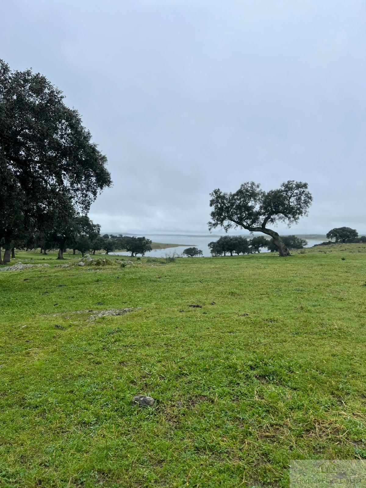 Vente de terrain dans Zorita