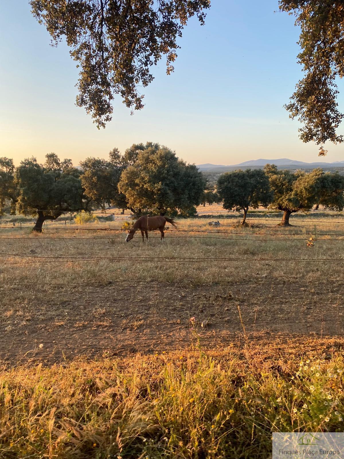 Venta de terreno en Aljucén