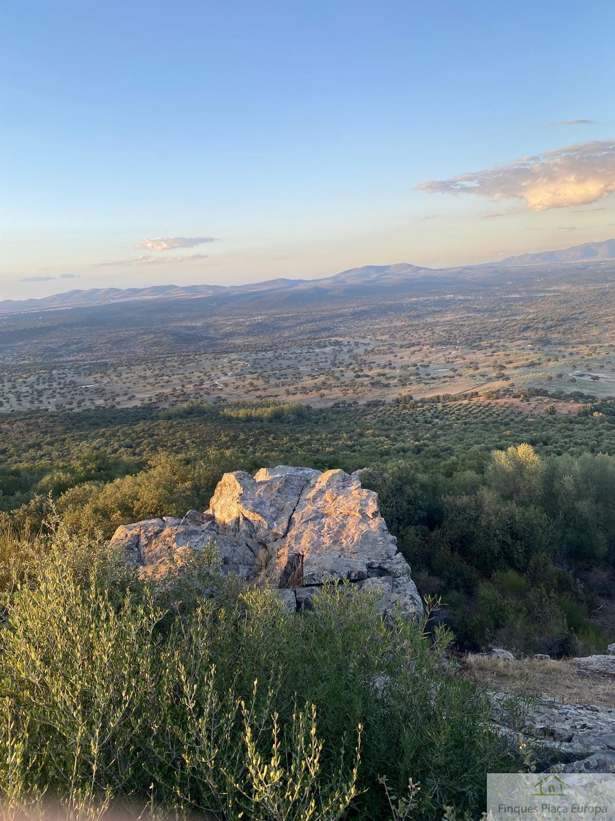 For sale of land in Aljucén