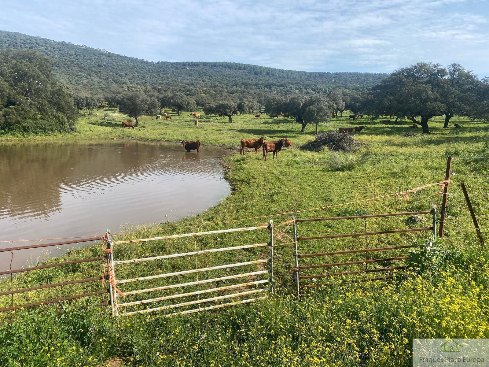 For sale of land in Aljucén