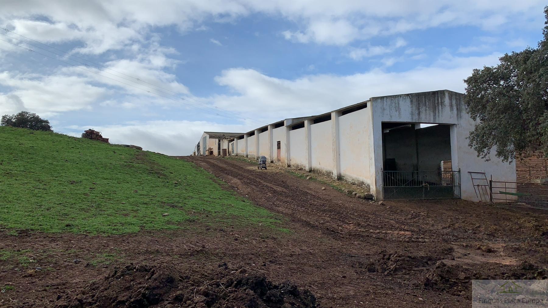 Venta de terreno en Garbayuela