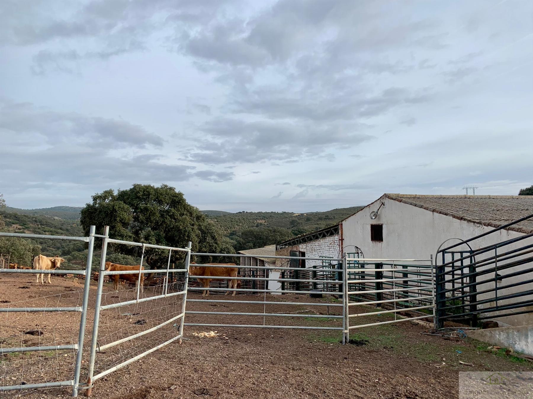 Venta de terreno en Garbayuela
