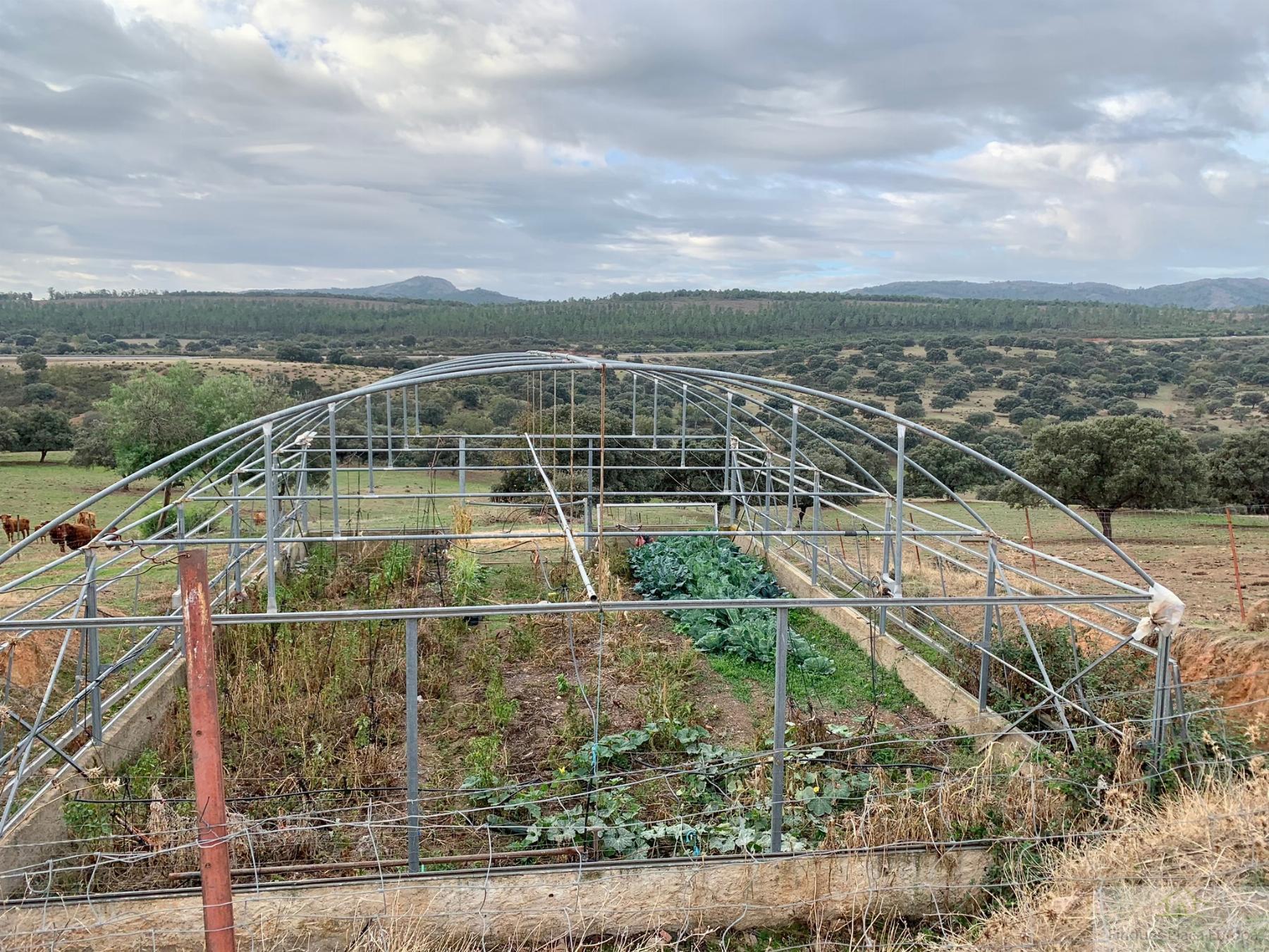 Venta de terreno en Garbayuela