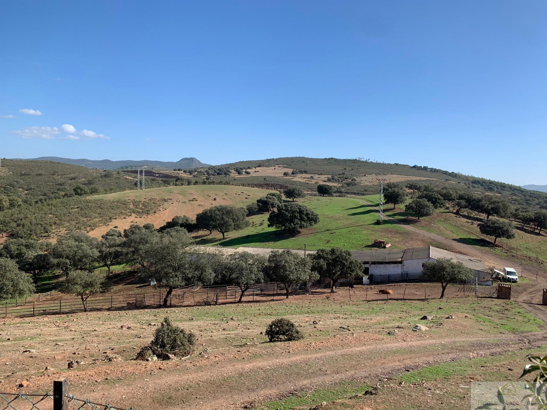 Venta de terreno en Garbayuela