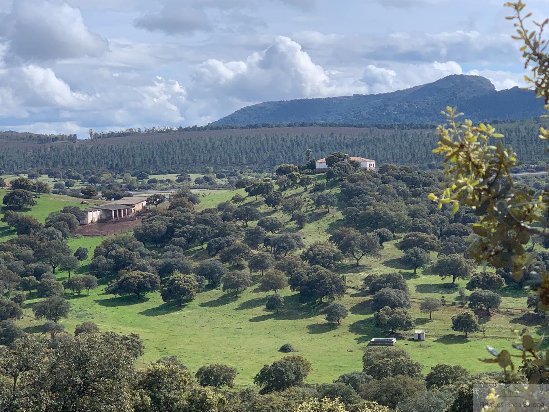 Venta de terreno en Garbayuela