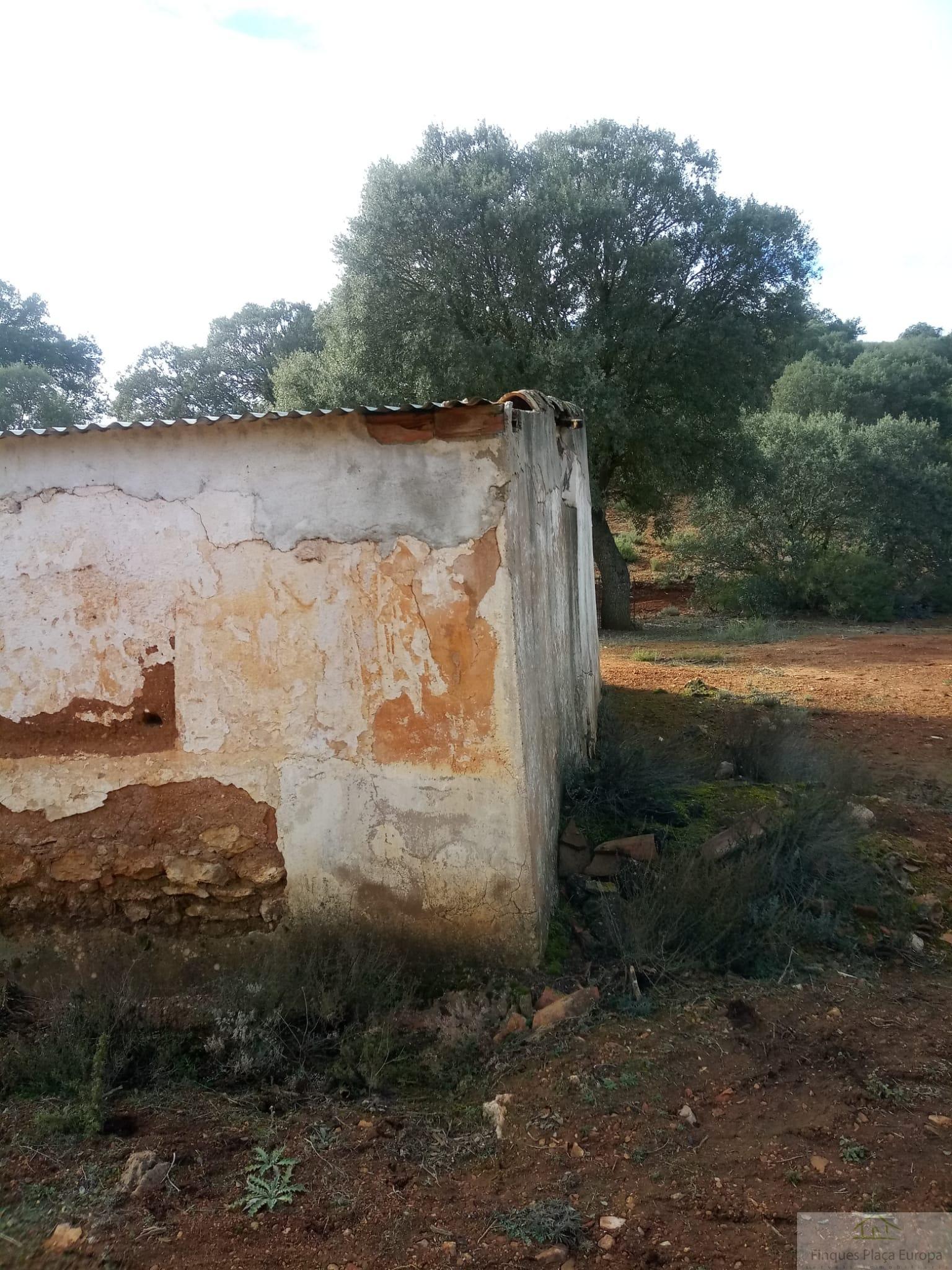 Venta de terreno en Ruidera