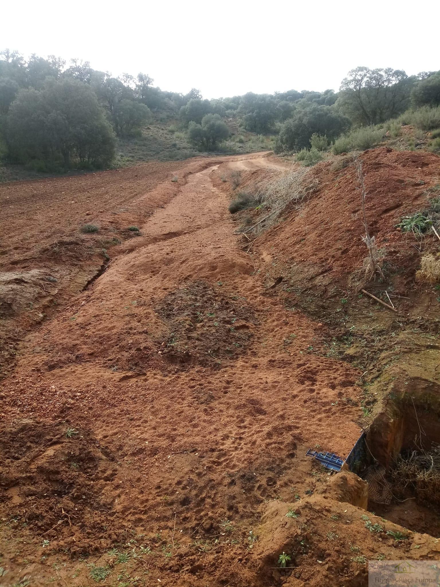 Venta de terreno en Ruidera
