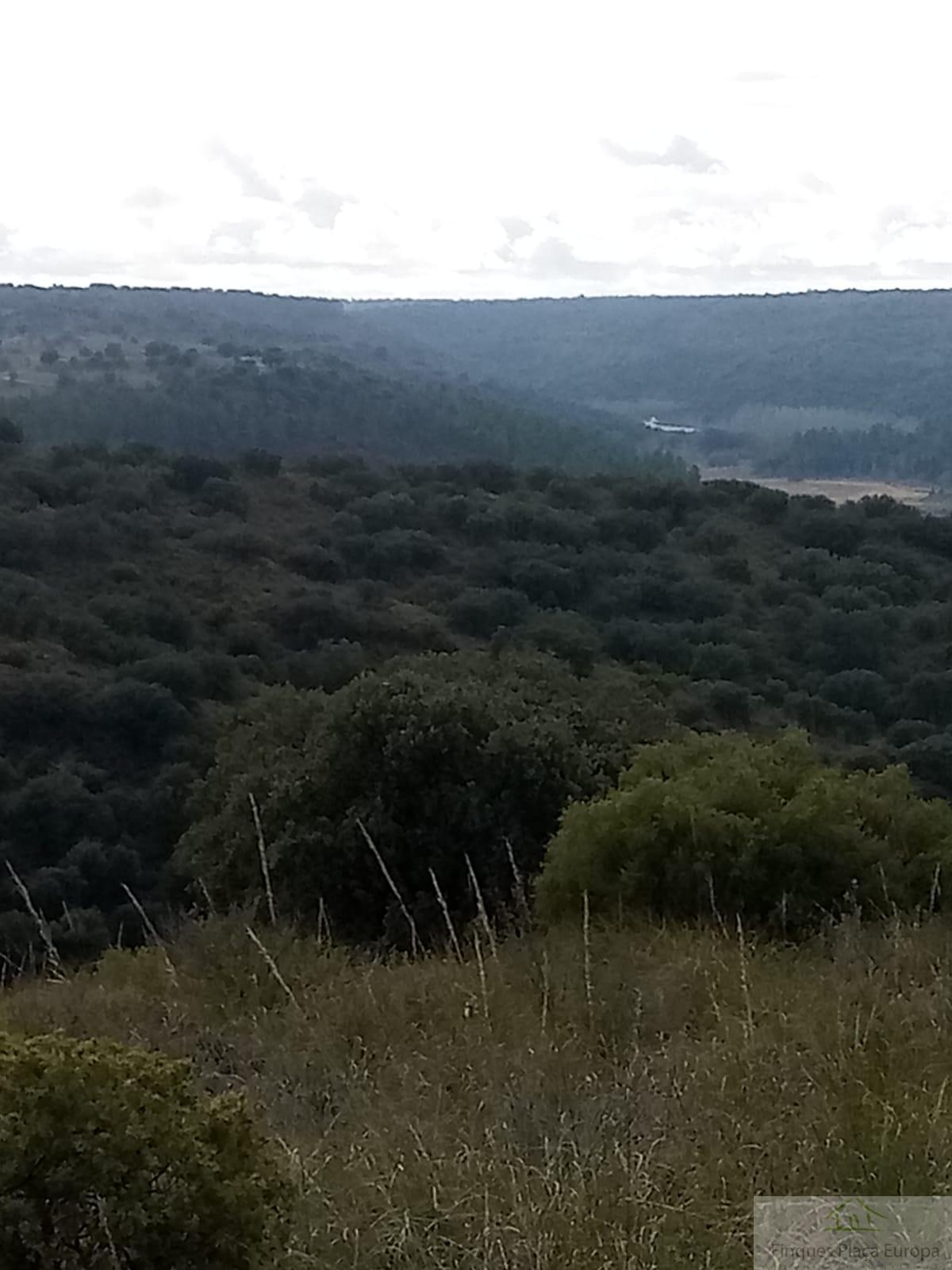Venta de terreno en Ruidera