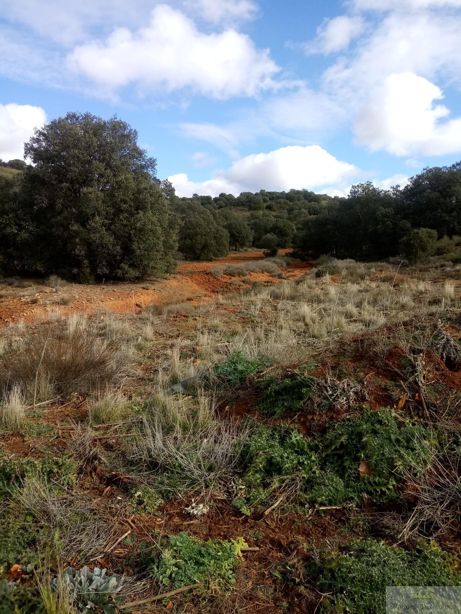 Venta de terreno en Ruidera