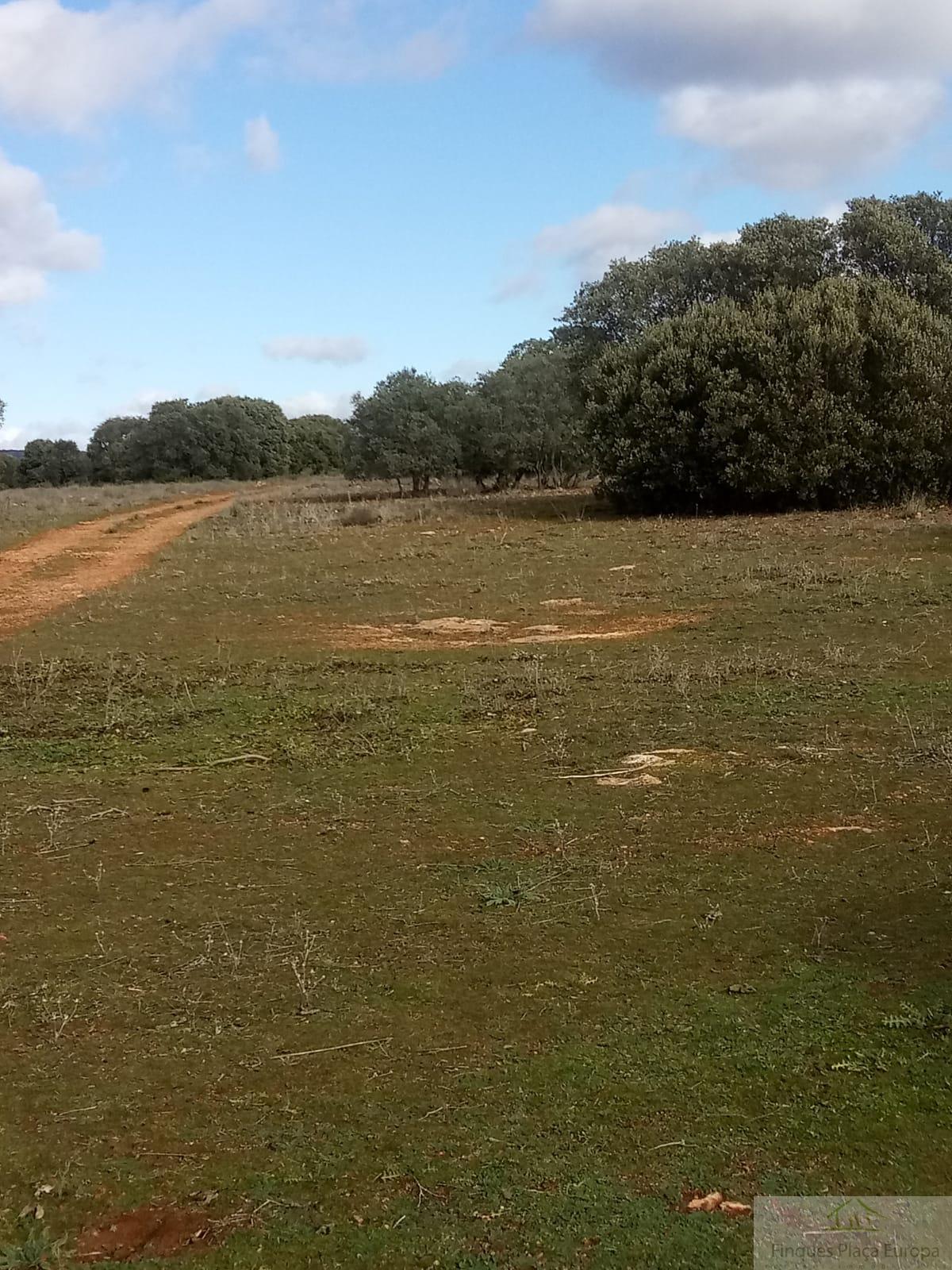 Venta de terreno en Ruidera