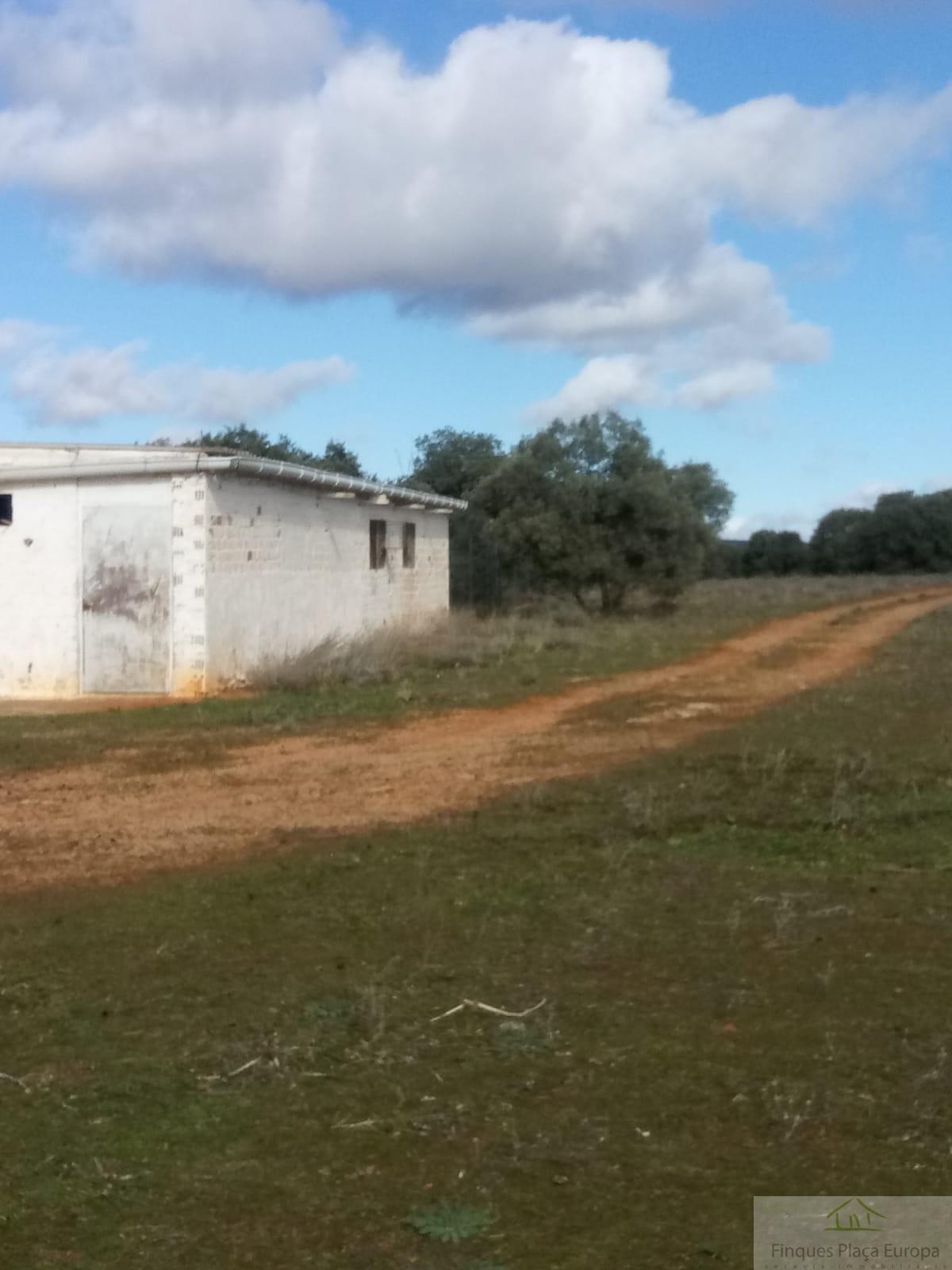 Venta de terreno en Ruidera