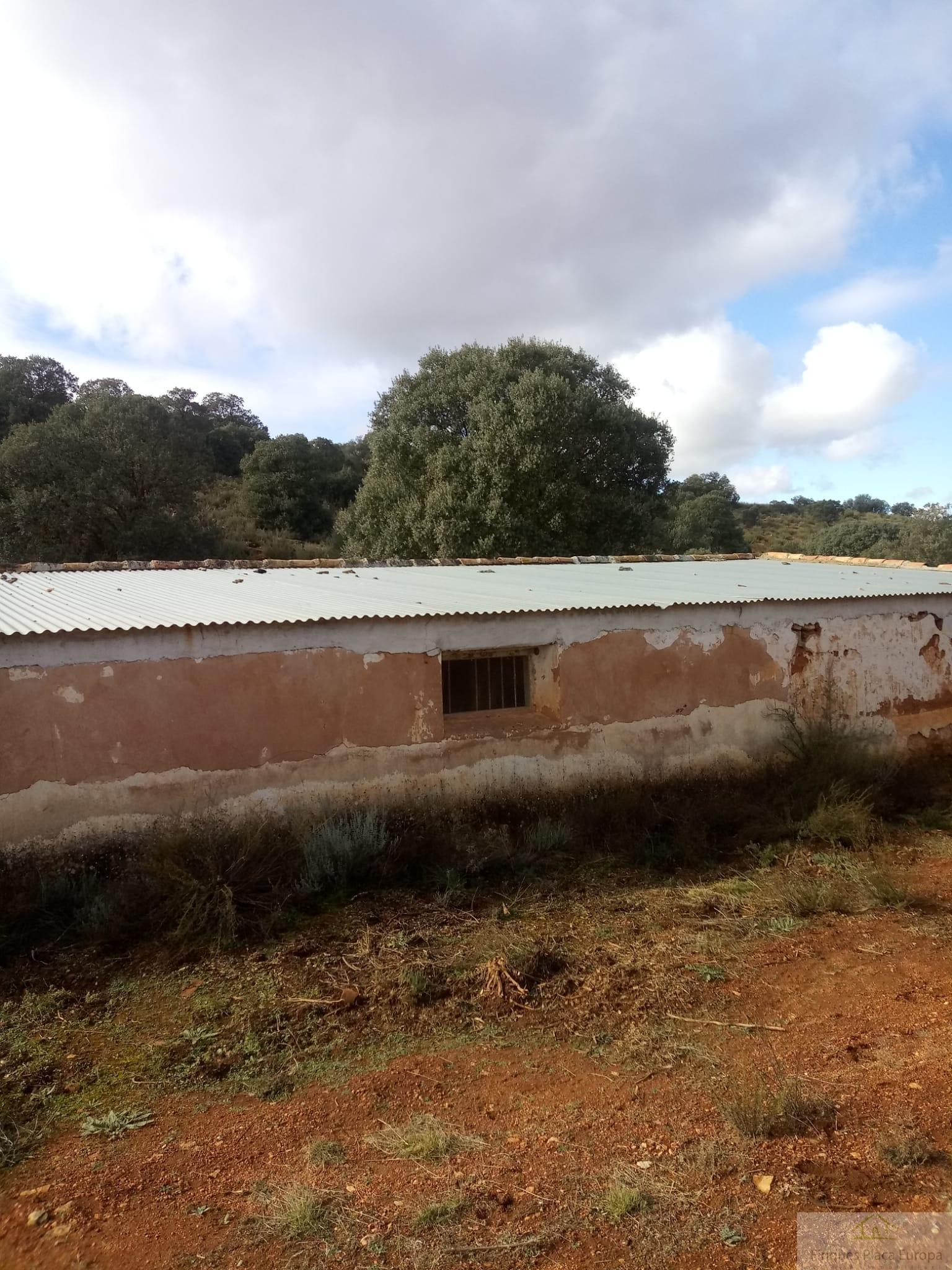 Venta de terreno en Ruidera