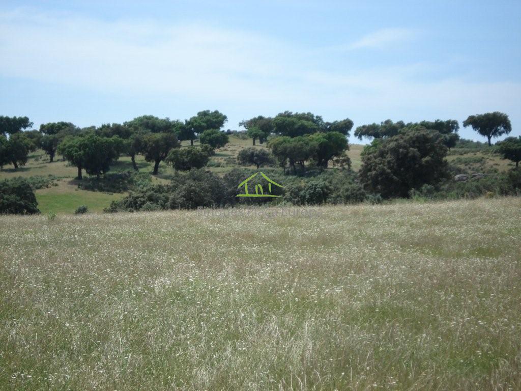 Vente de terrain dans Cáceres