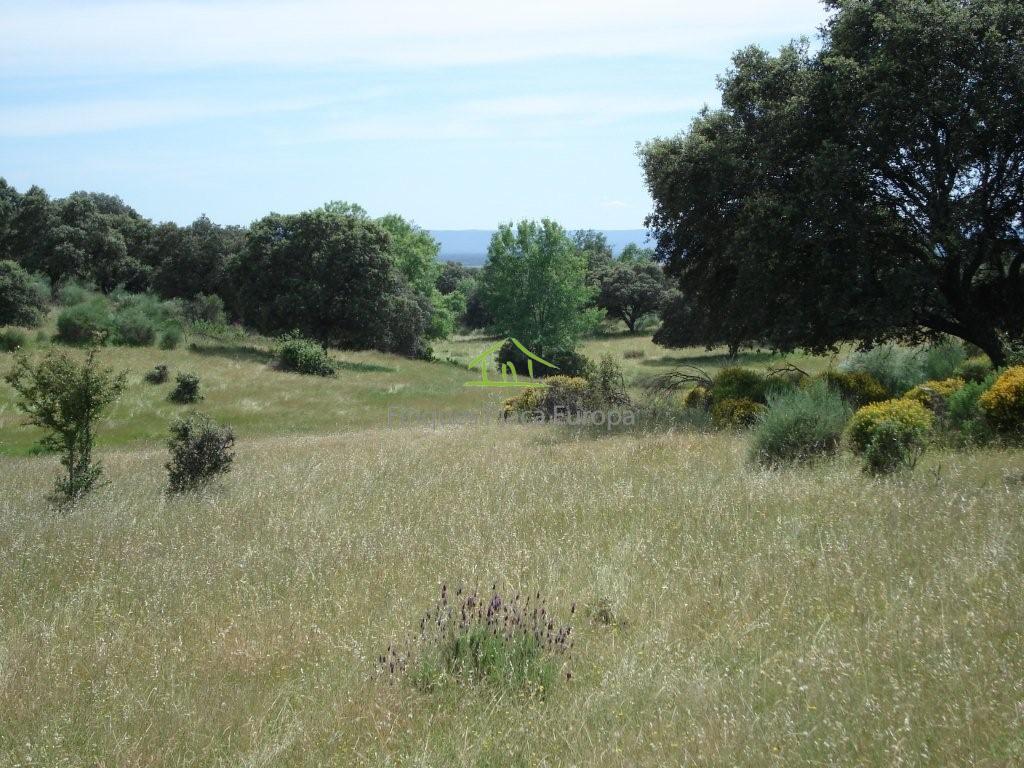 Vente de terrain dans Cáceres