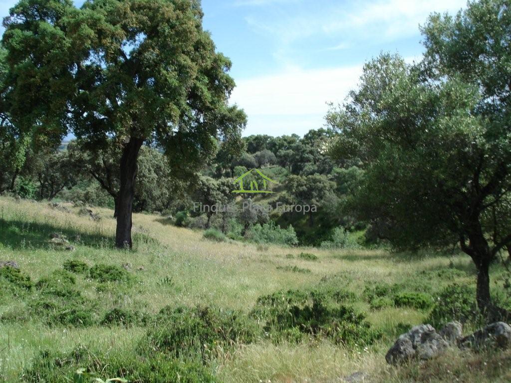 Vente de terrain dans Cáceres
