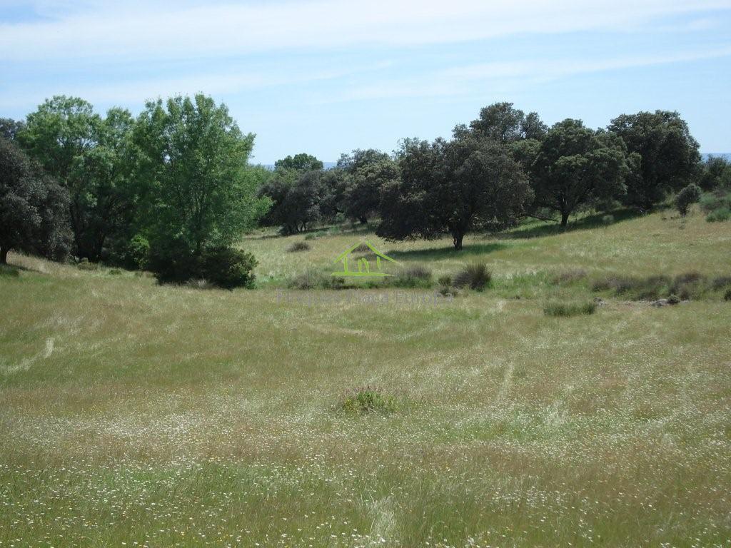 Vente de terrain dans Cáceres