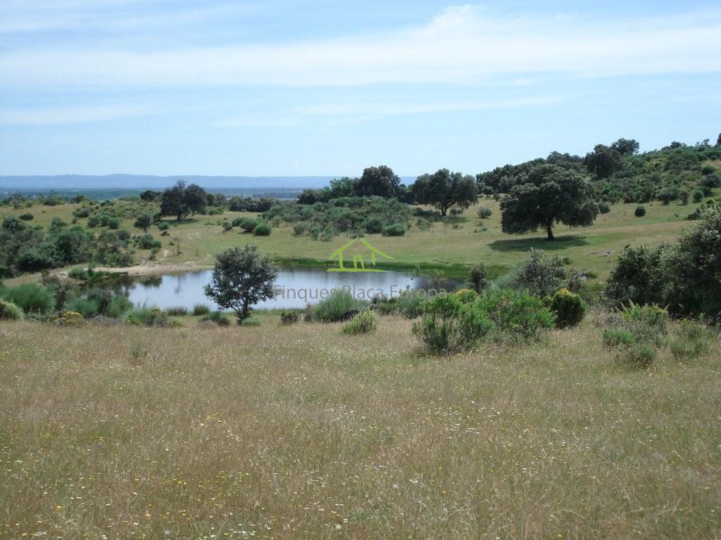 Vente de terrain dans Cáceres