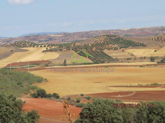 Vente de terrain dans Ciudad Real