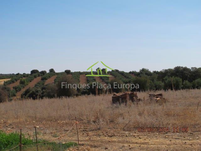 Vente de terrain dans Ciudad Real
