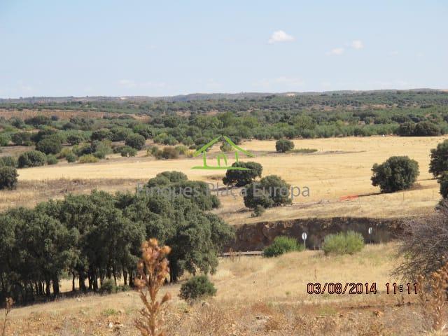Vente de terrain dans Ciudad Real